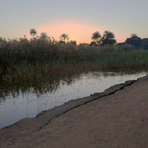 gambia-walk